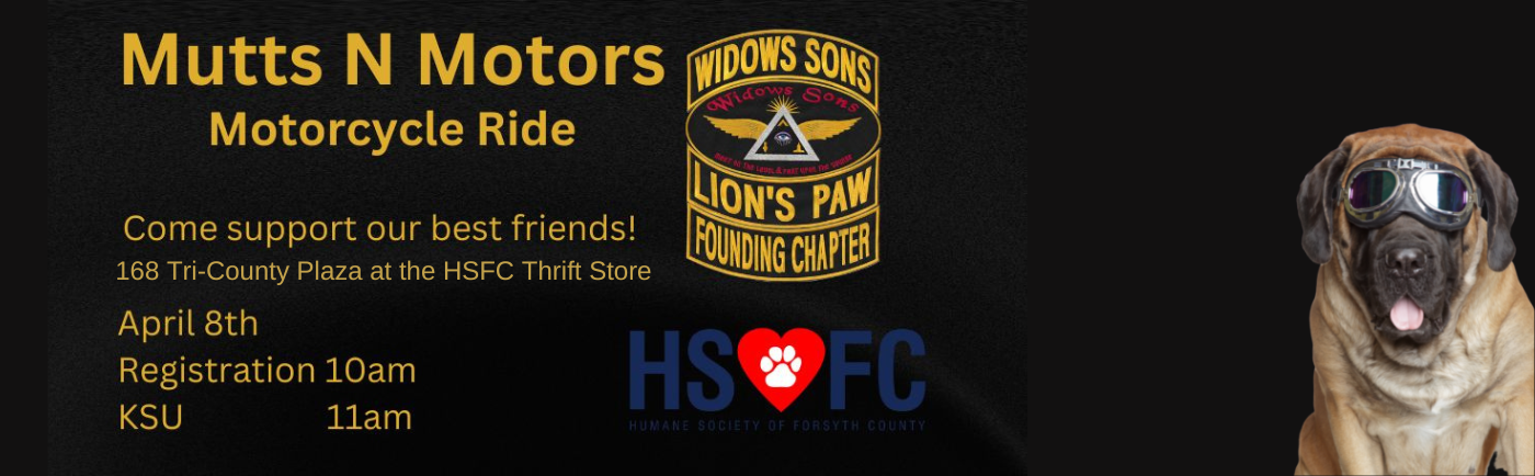 Humane Society of Forsyth County | Cumming, GA No Kill Dog & Cat Shelter,  Adopt, Cyber Foster, Volunteer, Donate, Humane Hearts, Responsible Pet  Ownership, Pet Food Pantry Assistance, Animal Intake, Low Cost