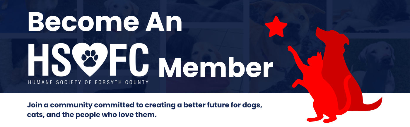HSFC Membership Website Banner (1400 x 434 px)