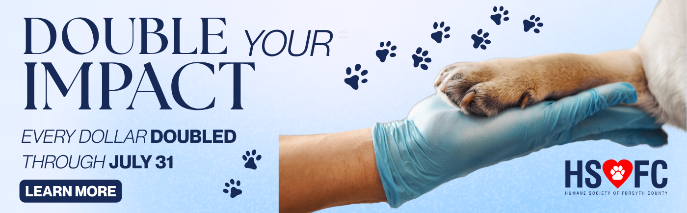 Double Your Impact Web Banner (1400 x 434 px)
